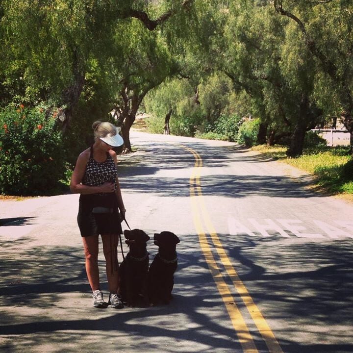 A woman walking two dogs down the street.